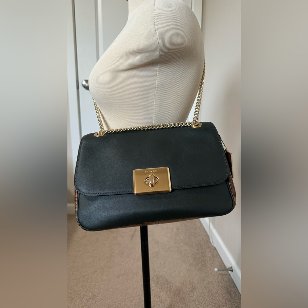 COACH 1941 Cassidy Turn Lock Snake Print